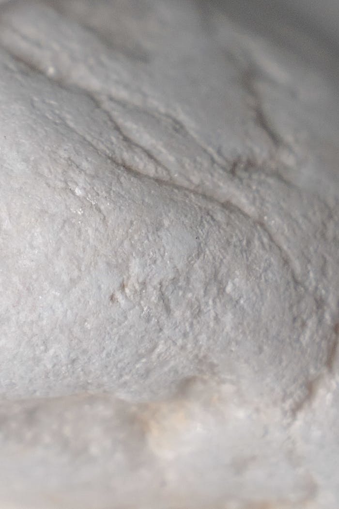 Detailed close-up of white stone texture, ideal for backgrounds with ample copy space.
